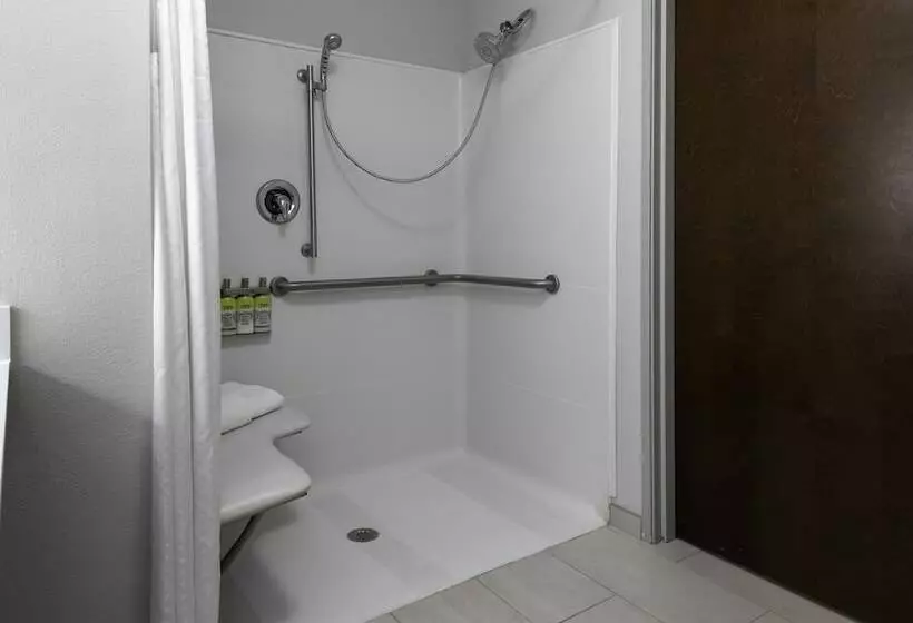 Holiday Inn Express Hotel & Suites Cordele North By Ihg