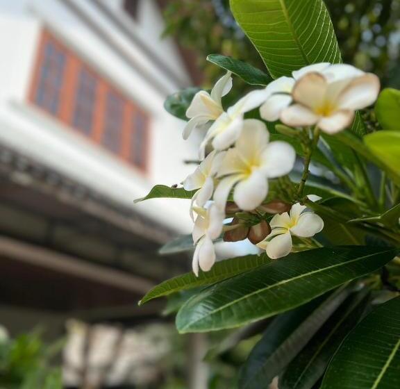 هتل The Royal Shilton Resort