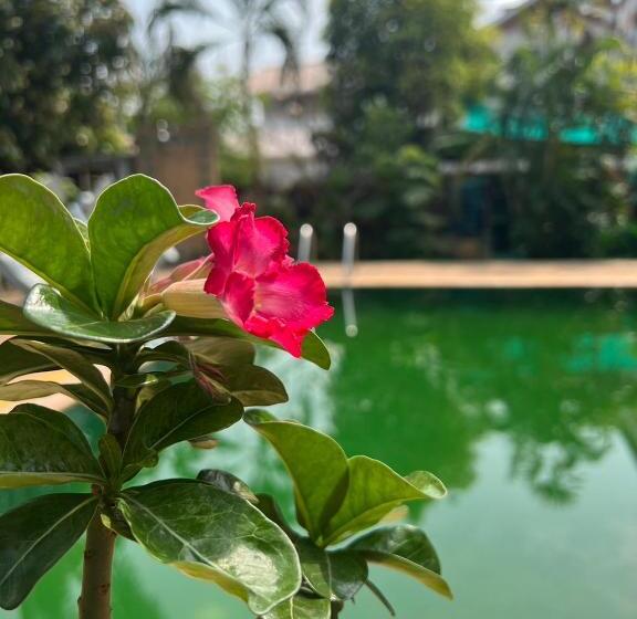 هتل The Royal Shilton Resort