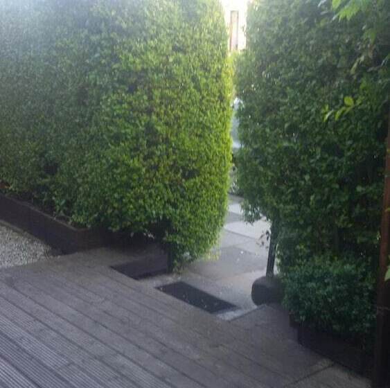 住宿加早餐  Cambridge House