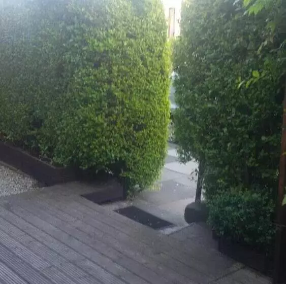 تختخواب و صبحانه Cambridge House