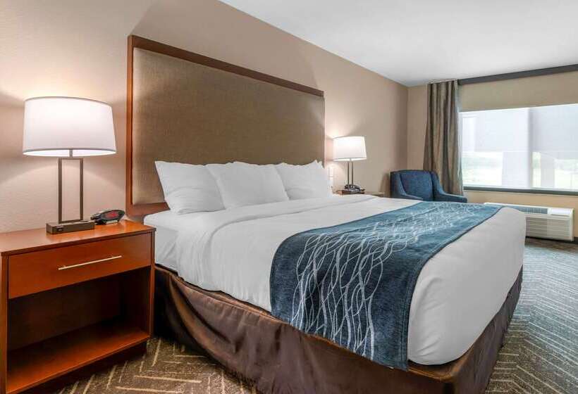 בית מלון כפרי Comfort Inn & Suites Mountain Iron And Virginia