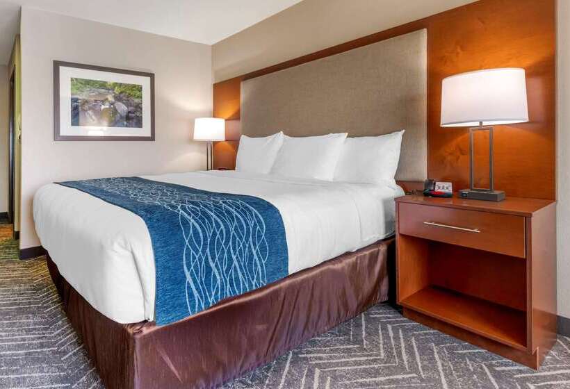 בית מלון כפרי Comfort Inn & Suites Mountain Iron And Virginia