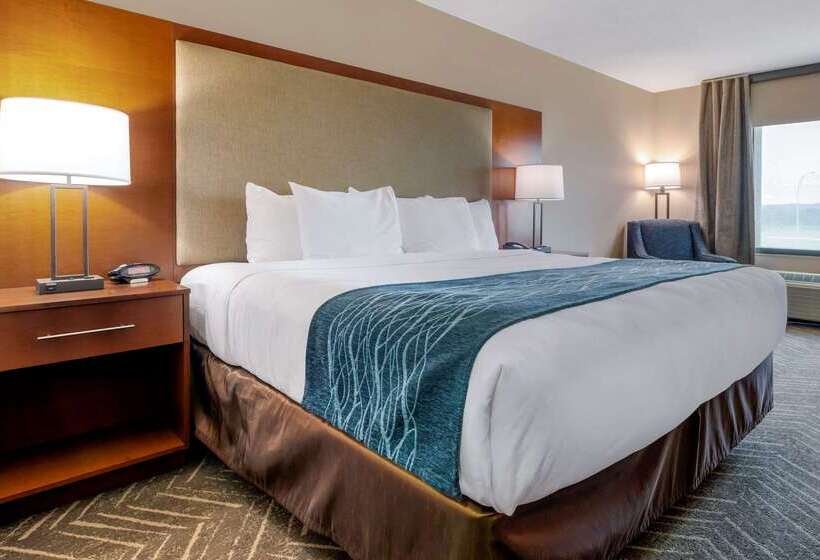 בית מלון כפרי Comfort Inn & Suites Mountain Iron And Virginia