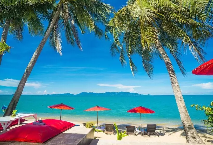 בית מלון כפרי The Florist Resort