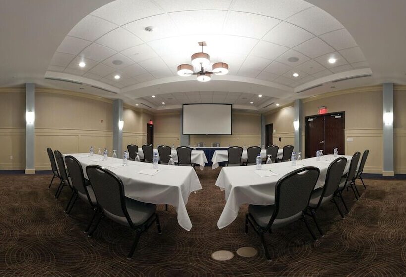 فندق Holiday Inn Detroit Metro Airport, An Ihg