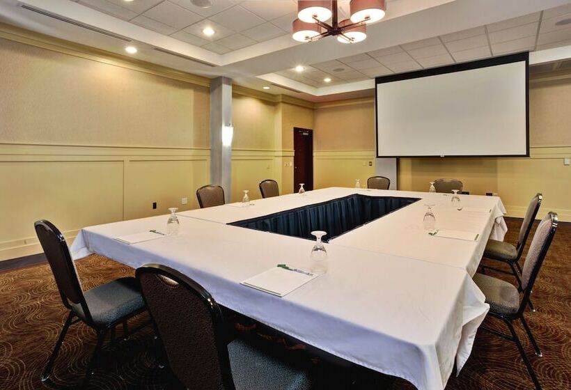 فندق Holiday Inn Detroit Metro Airport, An Ihg