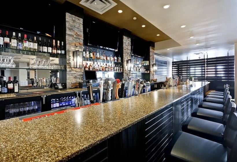 فندق Holiday Inn Detroit Metro Airport, An Ihg