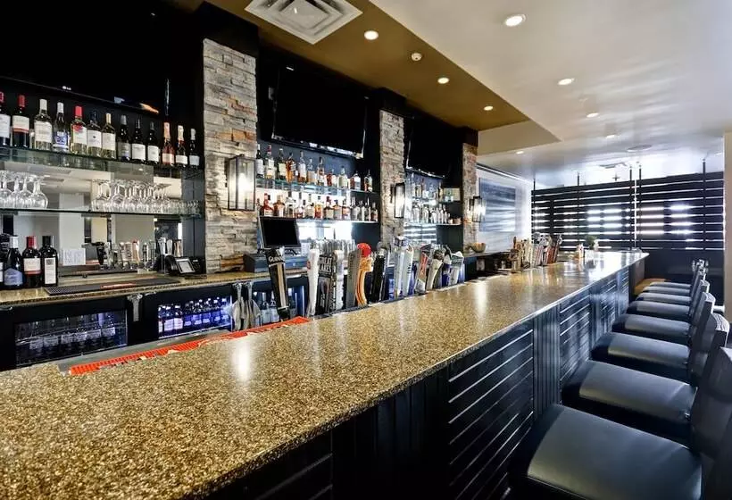 فندق Holiday Inn Detroit Metro Airport, An Ihg