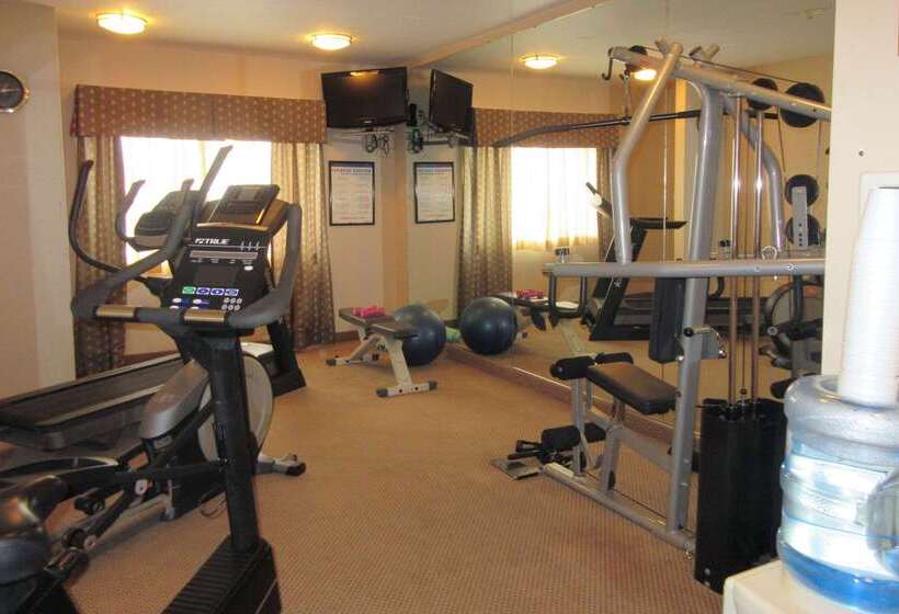 فندق Rodeway Inn