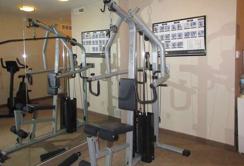 فندق Rodeway Inn