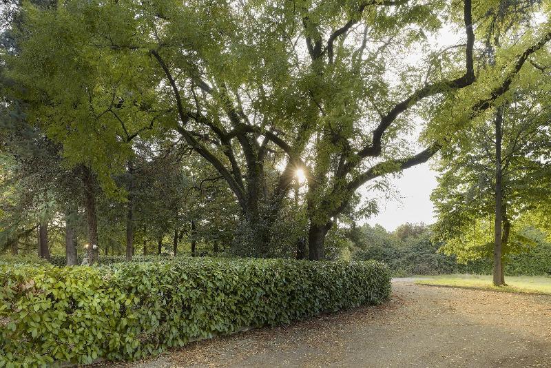 Meditur Hotel Bologna