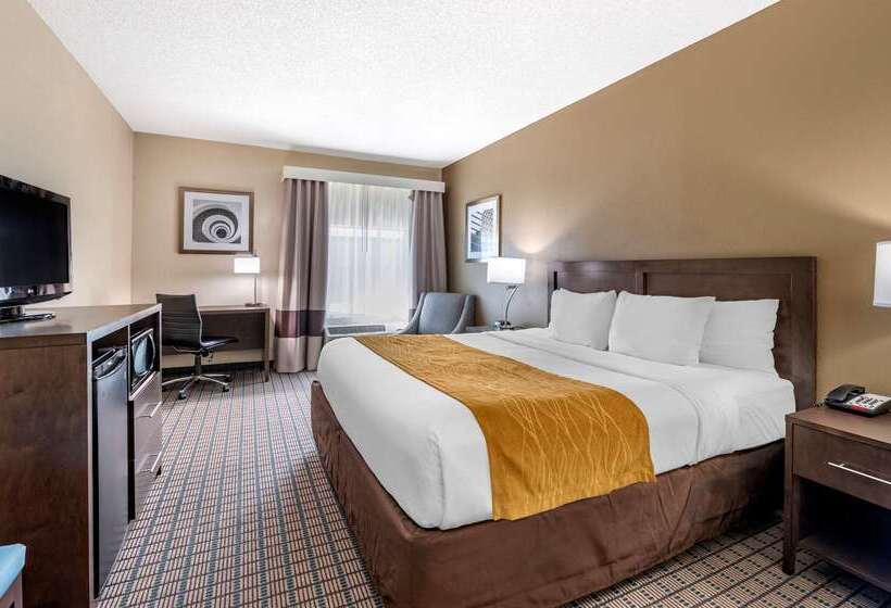 فندق Comfort Inn & Suites