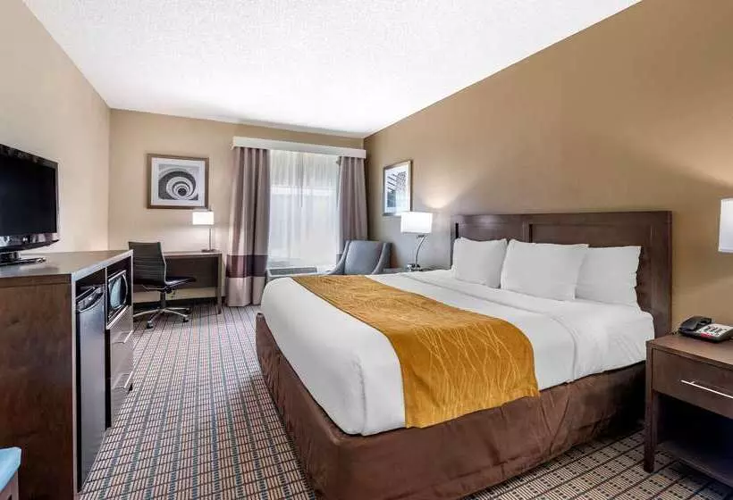 هتل Comfort Inn & Suites