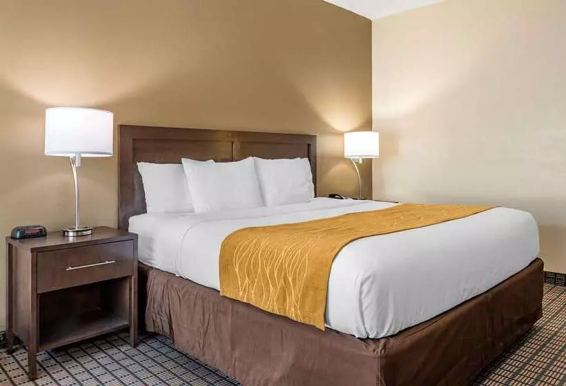 هتل Comfort Inn & Suites