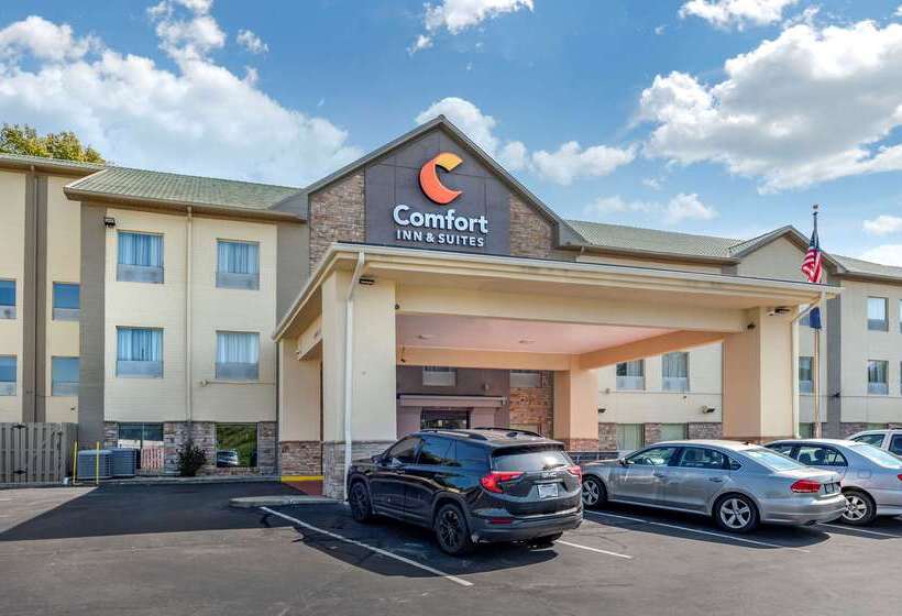 فندق Comfort Inn & Suites