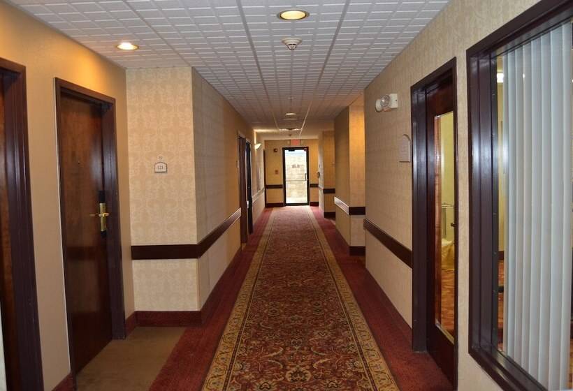 فندق Comfort Inn & Suites