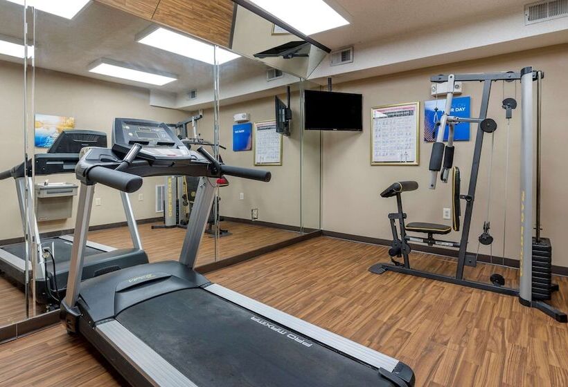 فندق Comfort Inn & Suites