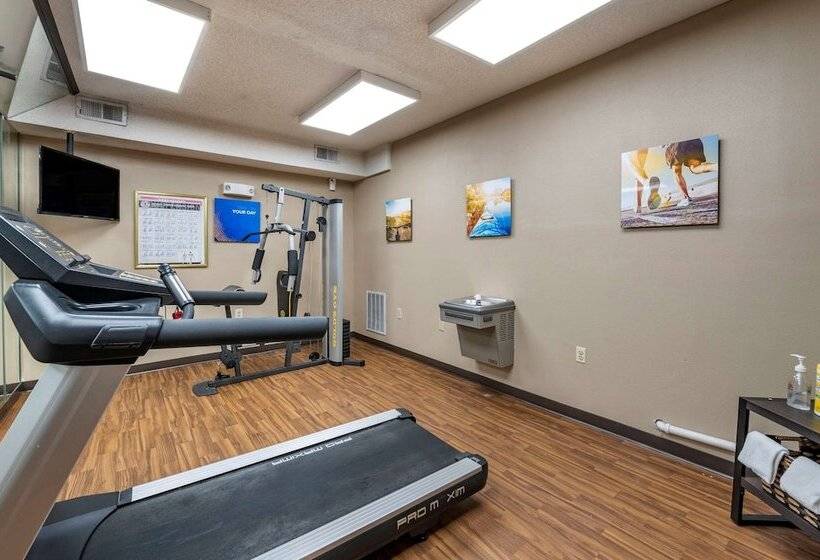 فندق Comfort Inn & Suites