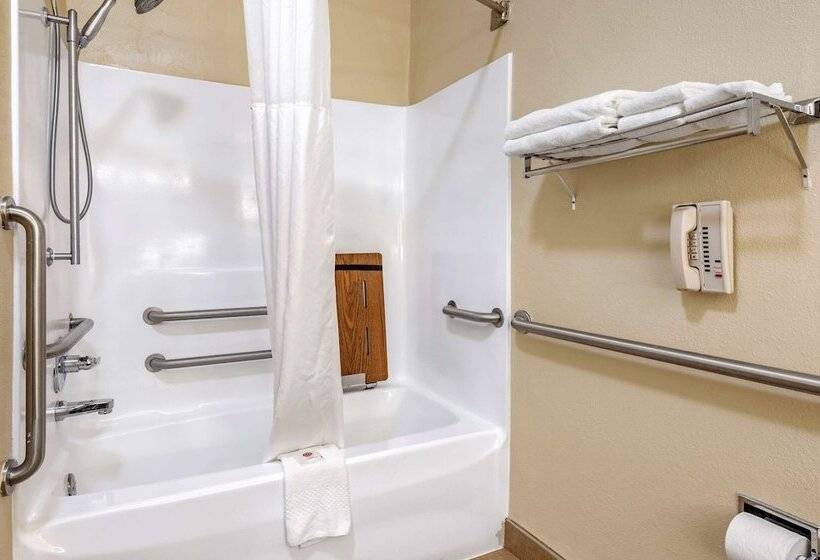 فندق Comfort Inn & Suites