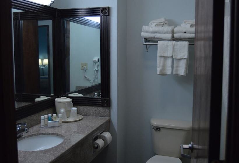 فندق Comfort Inn & Suites