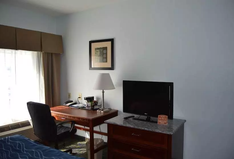 هتل Comfort Inn & Suites