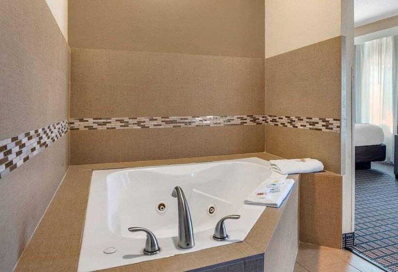 فندق Comfort Inn & Suites