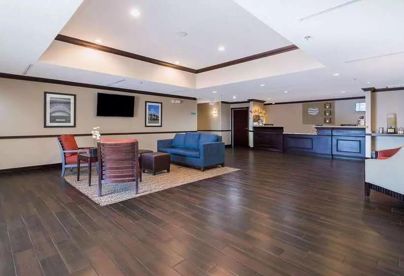 酒店 Comfort Inn & Suites Maingate South