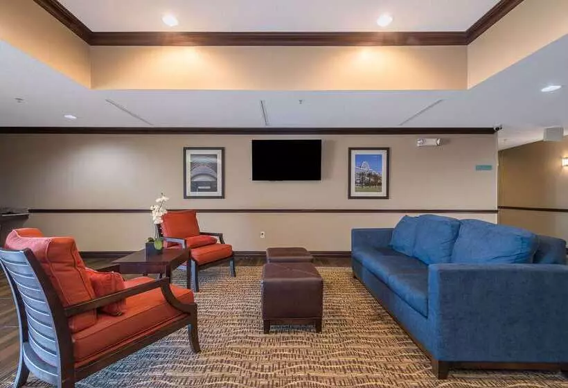 酒店 Comfort Inn & Suites Maingate South