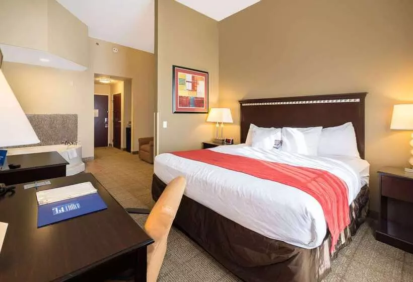 酒店 Comfort Inn & Suites Maingate South