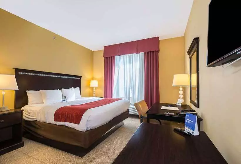 酒店 Comfort Inn & Suites Maingate South