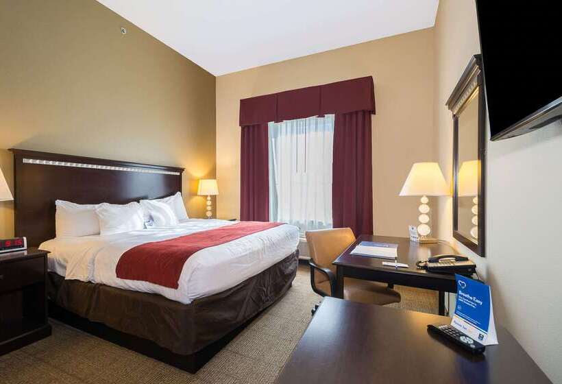 호텔 Comfort Inn & Suites Maingate South