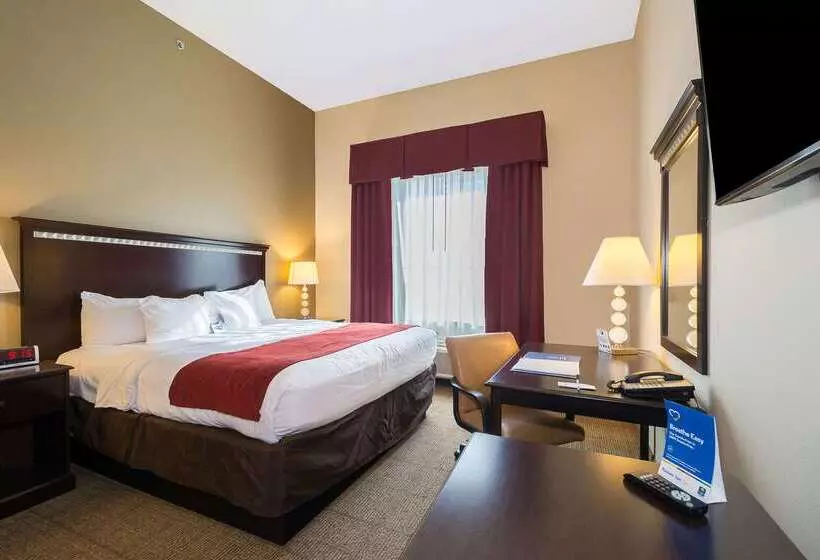 酒店 Comfort Inn & Suites Maingate South