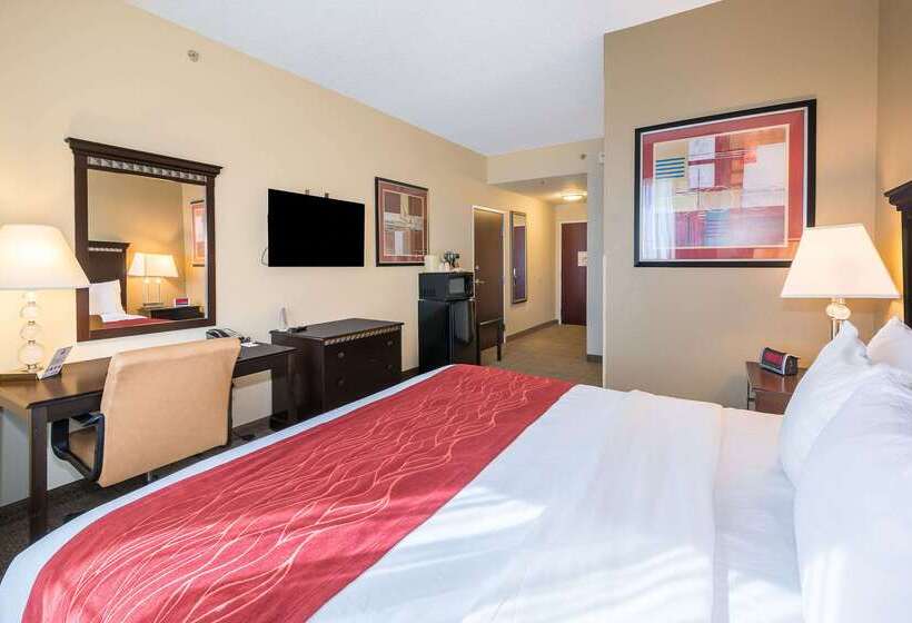 호텔 Comfort Inn & Suites Maingate South