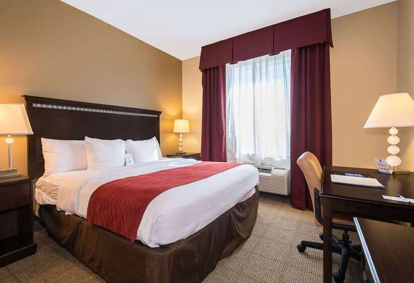 호텔 Comfort Inn & Suites Maingate South