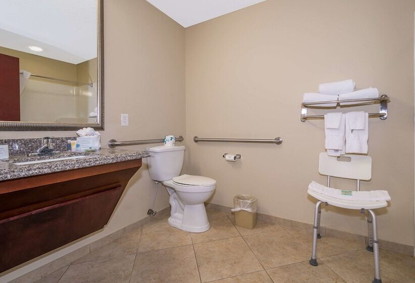 호텔 Comfort Inn & Suites Maingate South