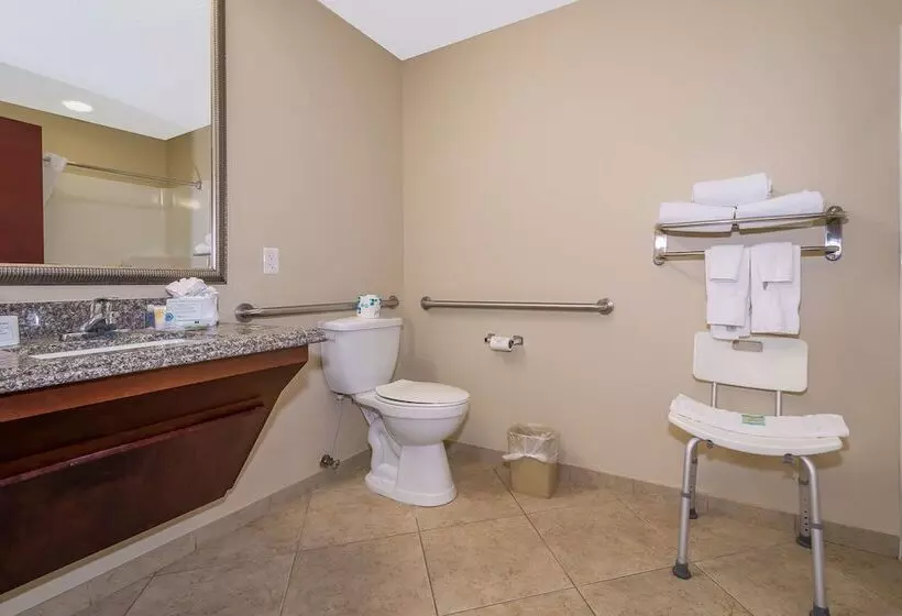 酒店 Comfort Inn & Suites Maingate South