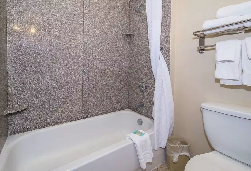 酒店 Comfort Inn & Suites Maingate South