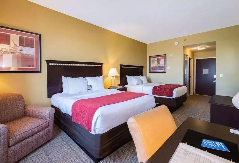 酒店 Comfort Inn & Suites Maingate South