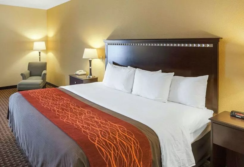 هتل Comfort Inn & Suites Regional Medical Center