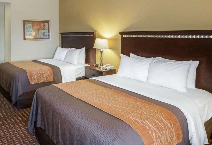 فندق Comfort Inn & Suites Regional Medical Center