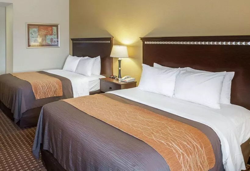 هتل Comfort Inn & Suites Regional Medical Center