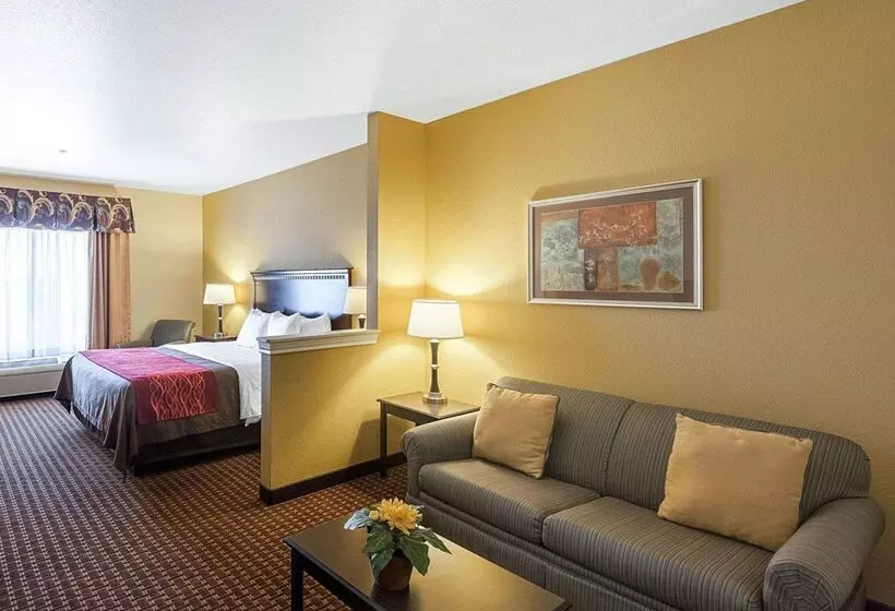 هتل Comfort Inn & Suites Regional Medical Center