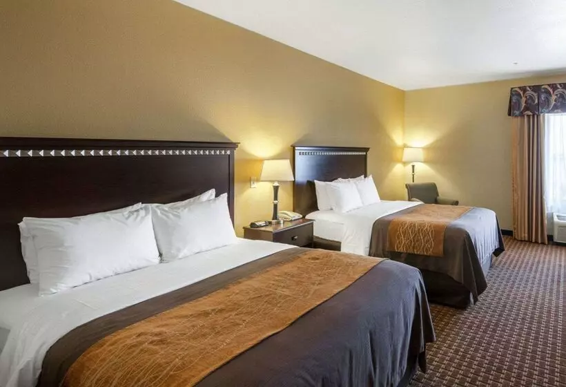 هتل Comfort Inn & Suites Regional Medical Center