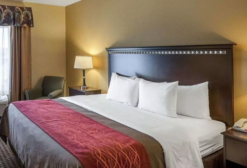 هتل Comfort Inn & Suites Regional Medical Center