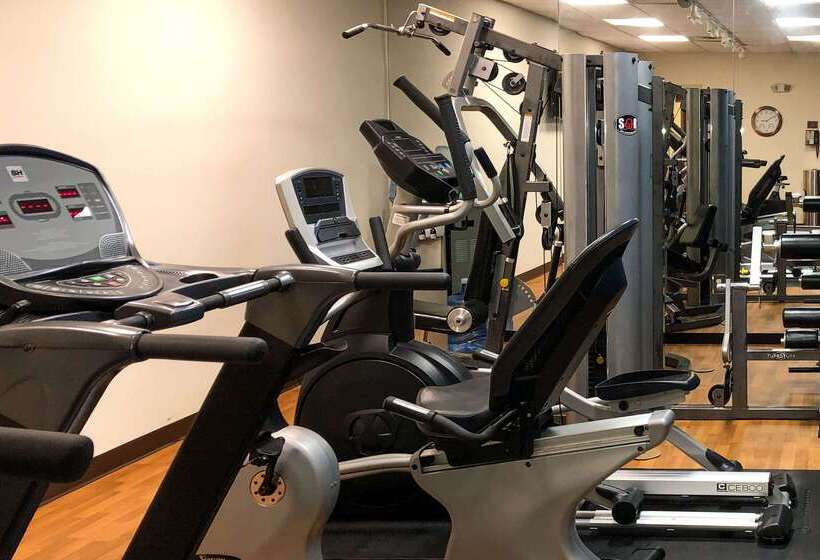 Tapa Hotel, Inn & Suites