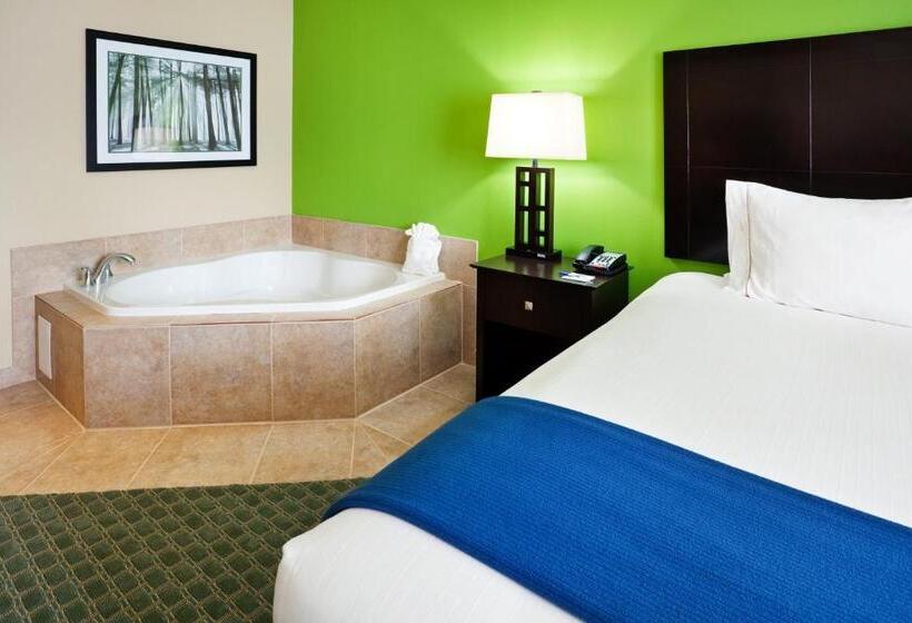 Holiday Inn Express Hotel & Suites Newport South, An Ihg