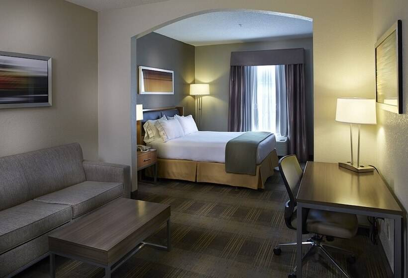 酒店 Holiday Inn Express & Suites Orangeburg, An Ihg