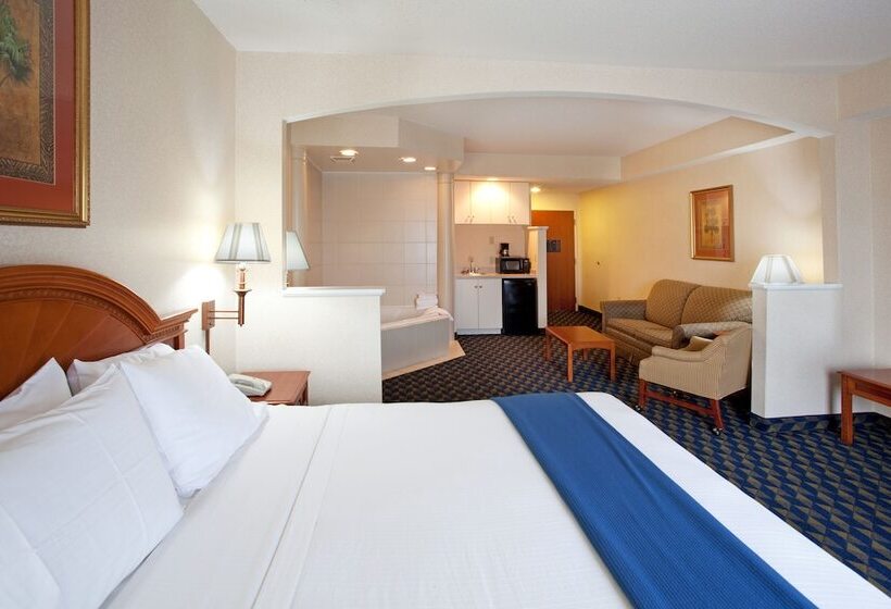 酒店 Holiday Inn Express & Suites Orangeburg, An Ihg