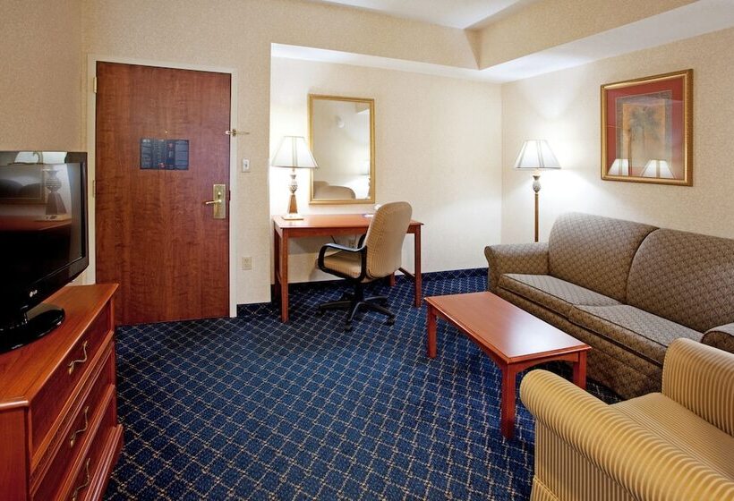 酒店 Holiday Inn Express & Suites Orangeburg, An Ihg